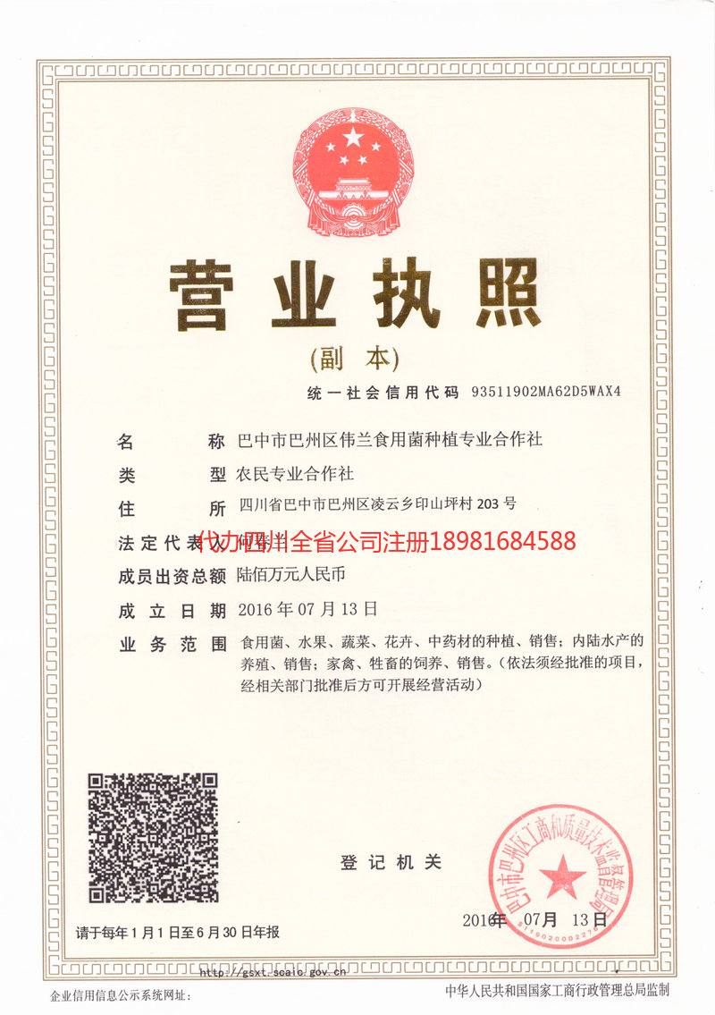 淮南淮南伟兰食用菌种植专业合作社